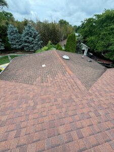 Shingle Roofing 2