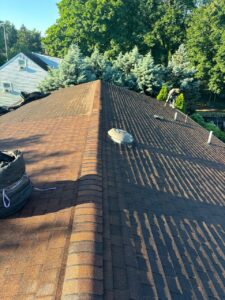 Shingle Roofing Cost