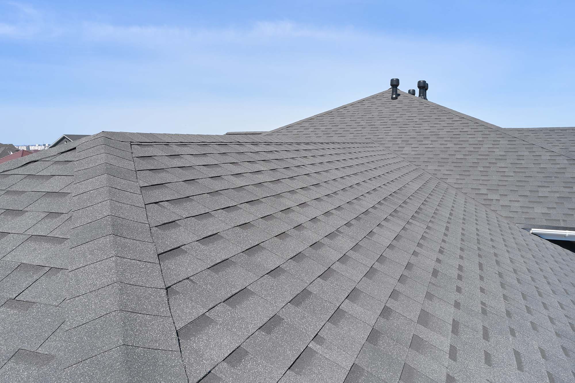 professional shingle roof