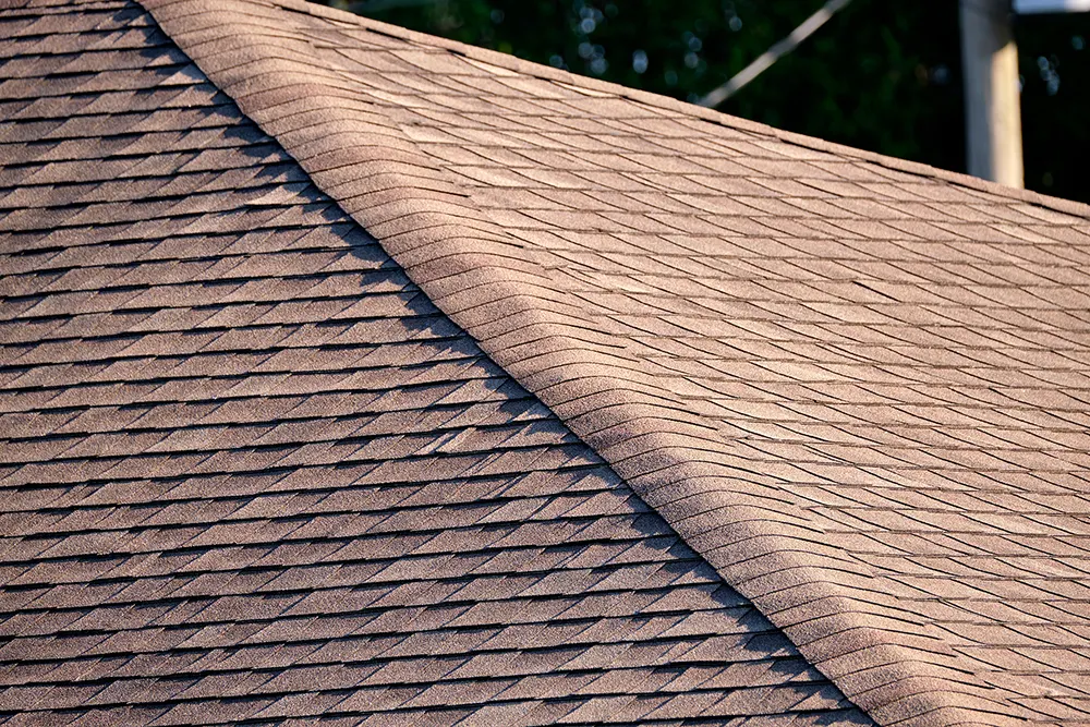 Shingle roof