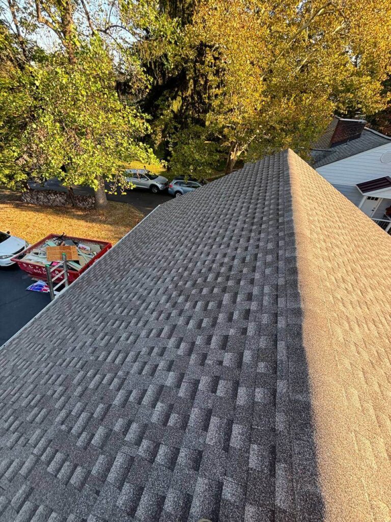 shingle roof