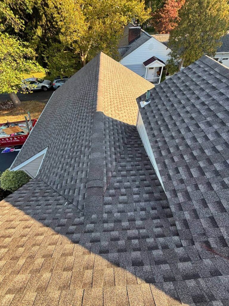 shingle roof