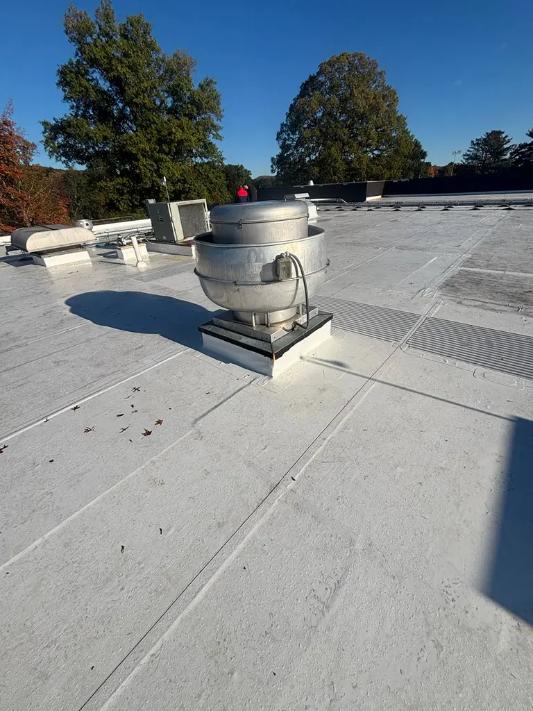 Flat Roof Repair