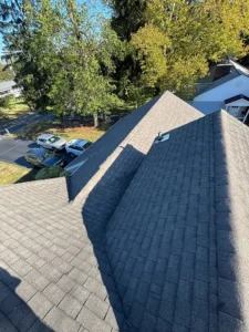 Shingle roof