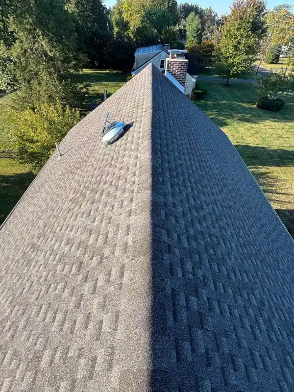shingle roofing in medford