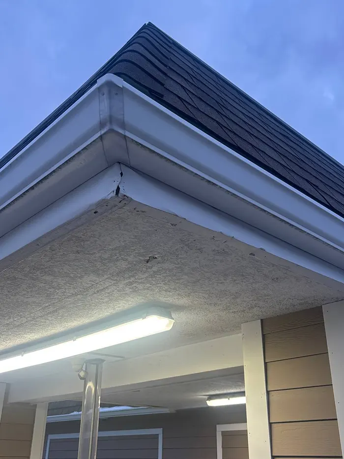 Fascia Repair after2