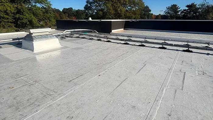 TPO Roofing