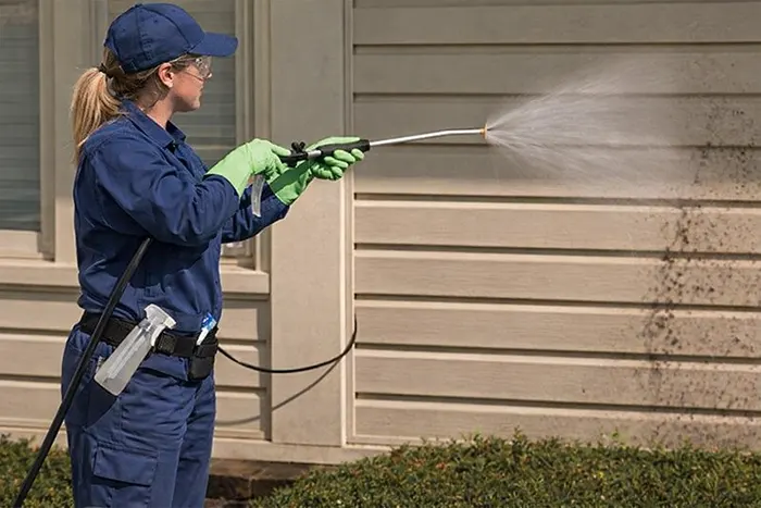 Clean Vinyl Siding