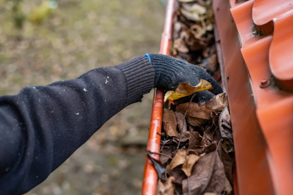 Cleaning leaves from gutters