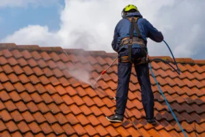A specialist cleans the roof from dirt