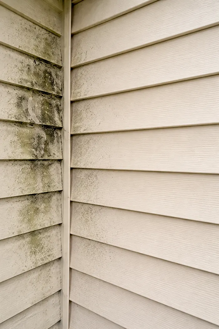 Dirt on vinyl siding