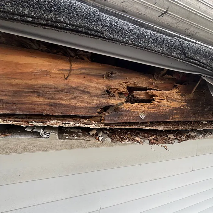 Repair Fascia