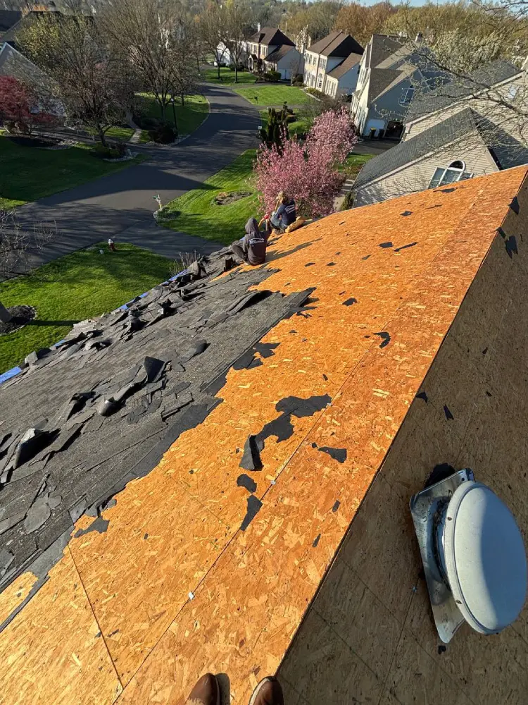 Roof deck inspection during shingle roof leak repair