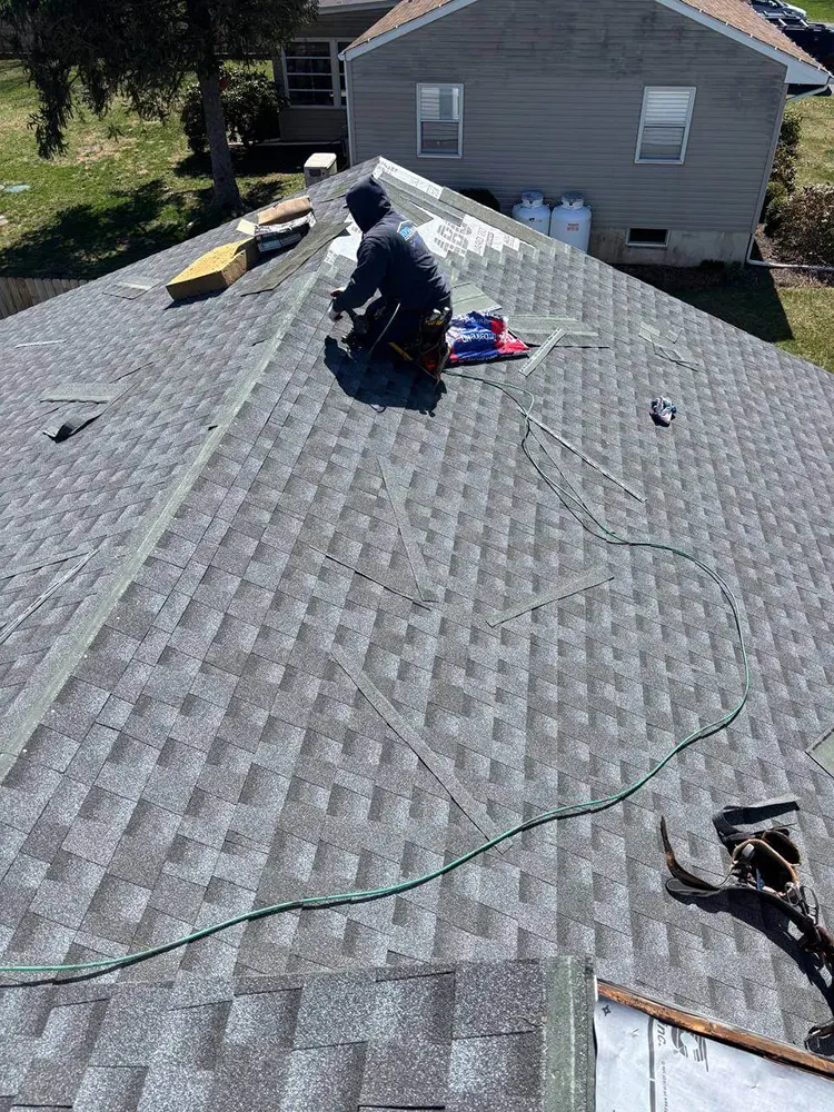 shingle roof replacement