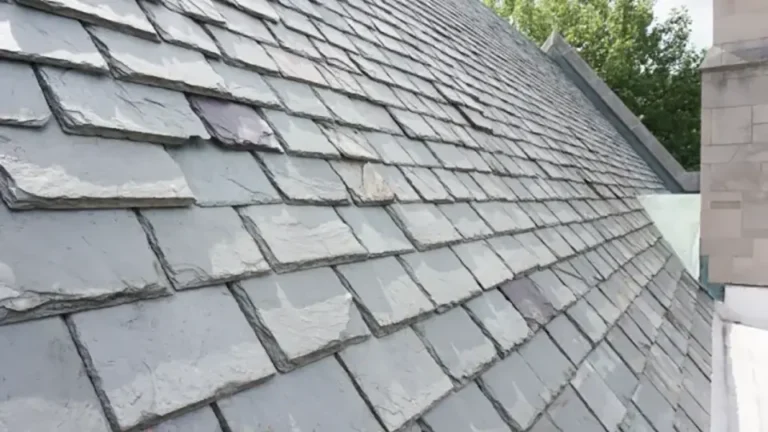 Slate specialists