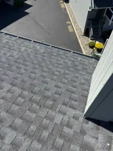 new architectural shingles