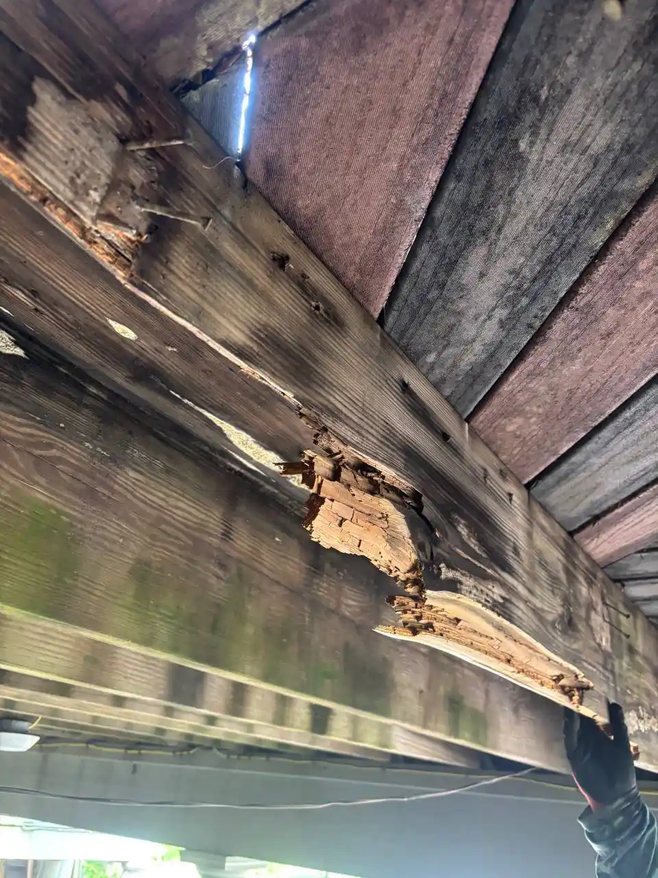 wood deck damage
