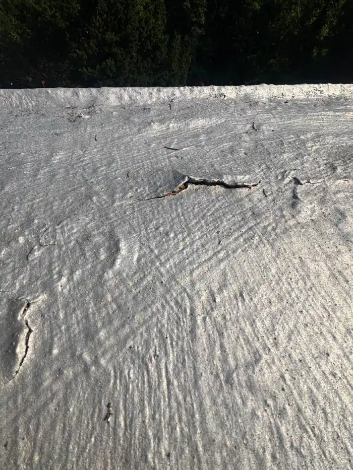 Aging flat roof