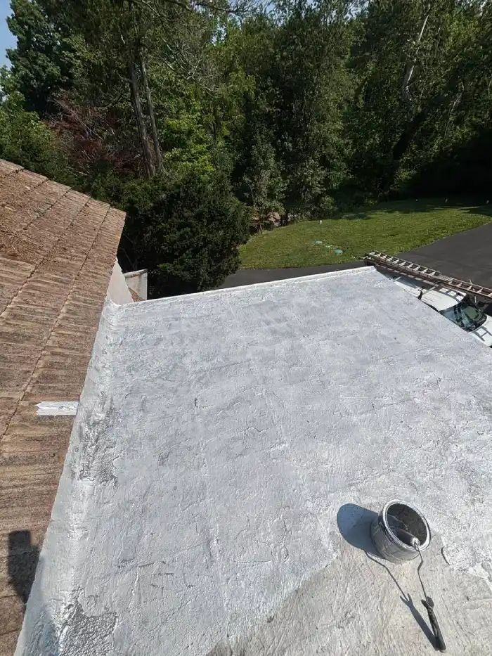 Flat roof debris