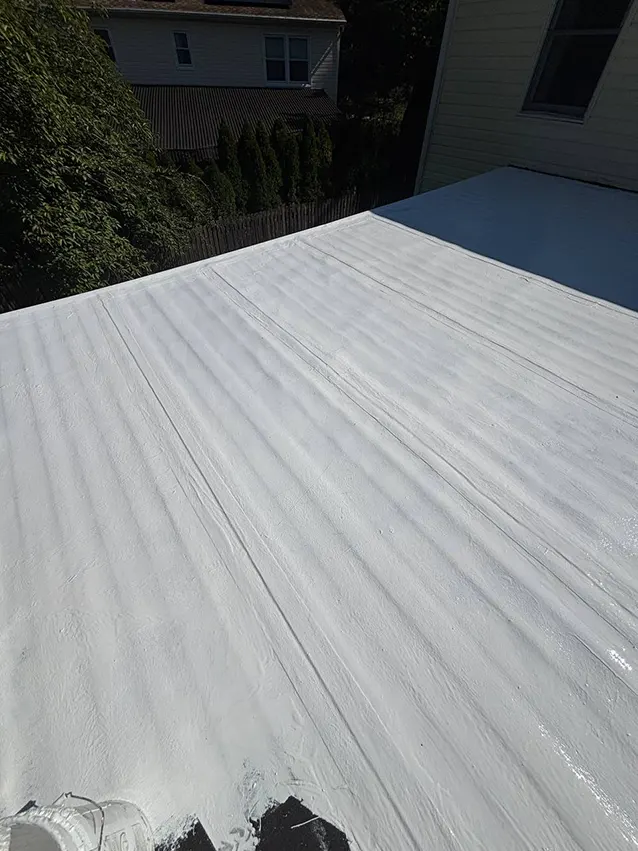 Finished silicone coated roof