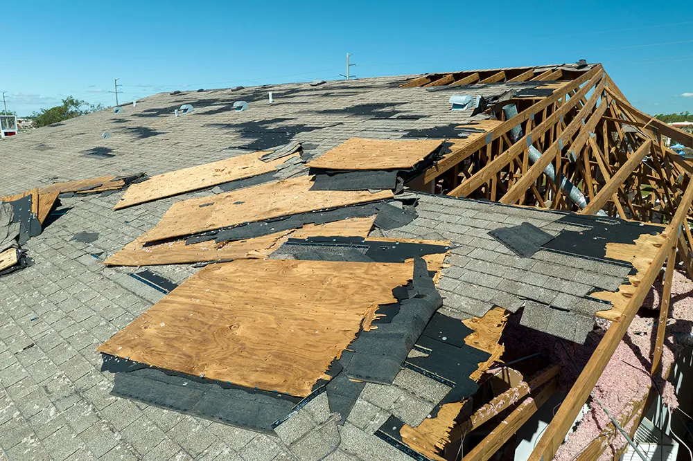 Asphalt shingle roof