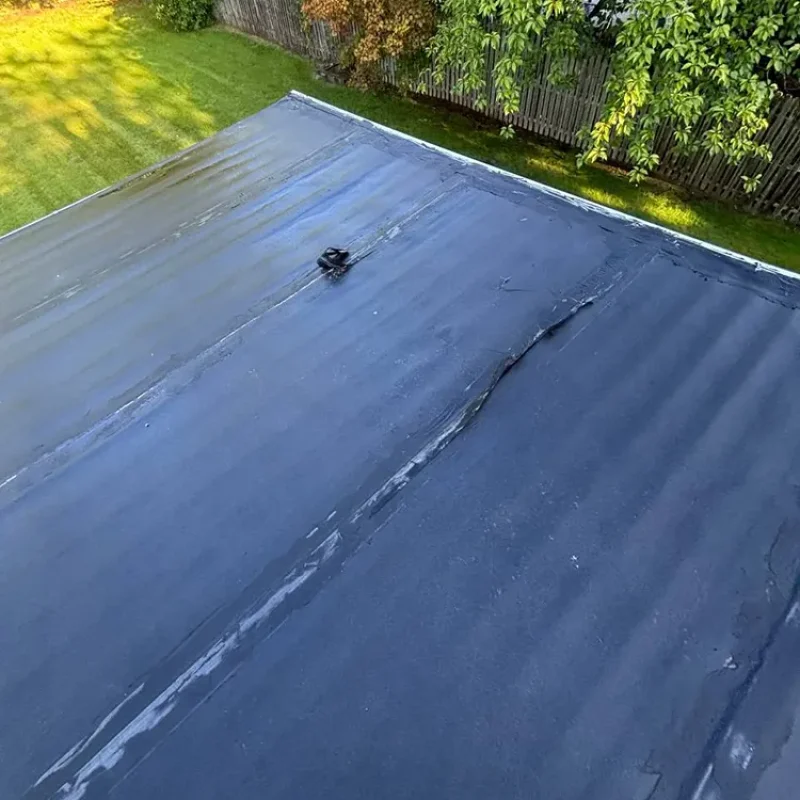 Silicone Roof 10