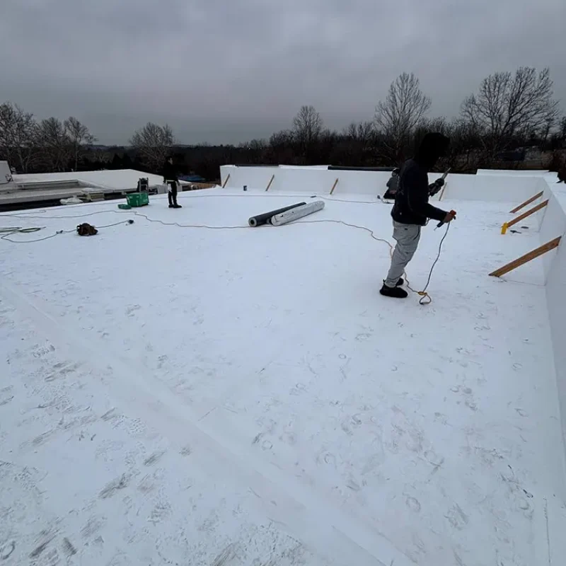 Silicone Roof 9