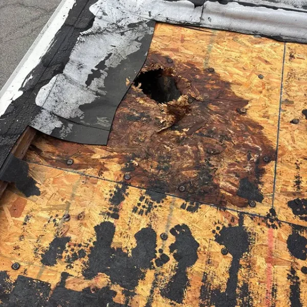 Damaged wood roof decking