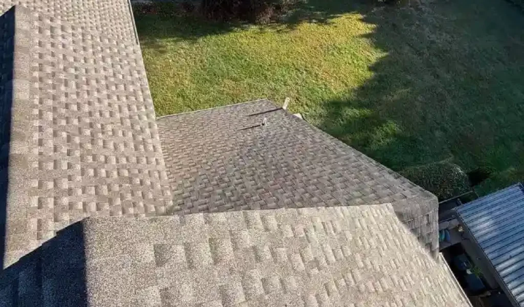 Shingle Roofing in Edison
